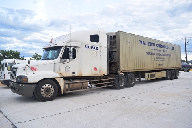 Huế: Phát hiện tài xế điều khiển xe container có biểu hiện "ngáo đá" hue phat hien tai xe dieu khien xe container co bieu hien ngao da