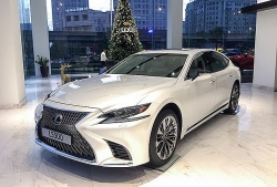 vi sao ong lon scic e lo co phieu nghin ty tai vocarimex