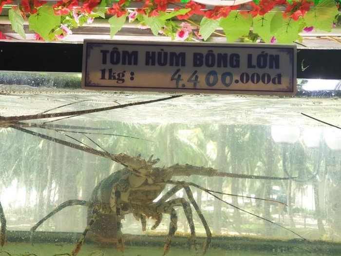 Xót xa vì bữa hải sản 85 triệu đồng, thực khách lên mạng "bóc phốt" và cái kết bất ngờ xot xa vi bua hai san 85 trieu dong thuc khach len mang boc phot va cai ket bat ngo