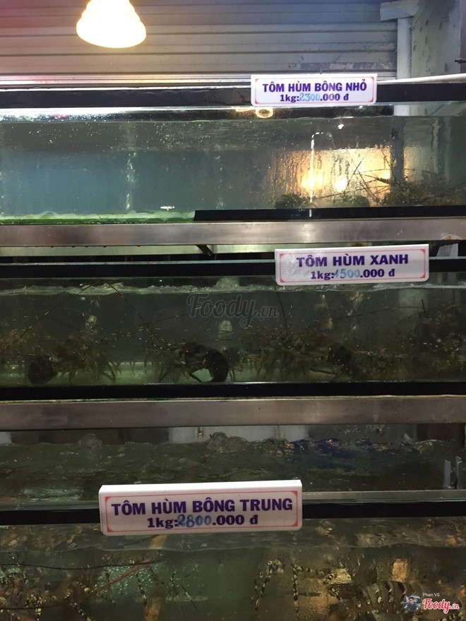 Xót xa vì bữa hải sản 85 triệu đồng, thực khách lên mạng "bóc phốt" và cái kết bất ngờ xot xa vi bua hai san 85 trieu dong thuc khach len mang boc phot va cai ket bat ngo