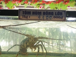 Xót xa vì bữa hải sản 85 triệu đồng, thực khách lên mạng "bóc phốt" và cái kết bất ngờ