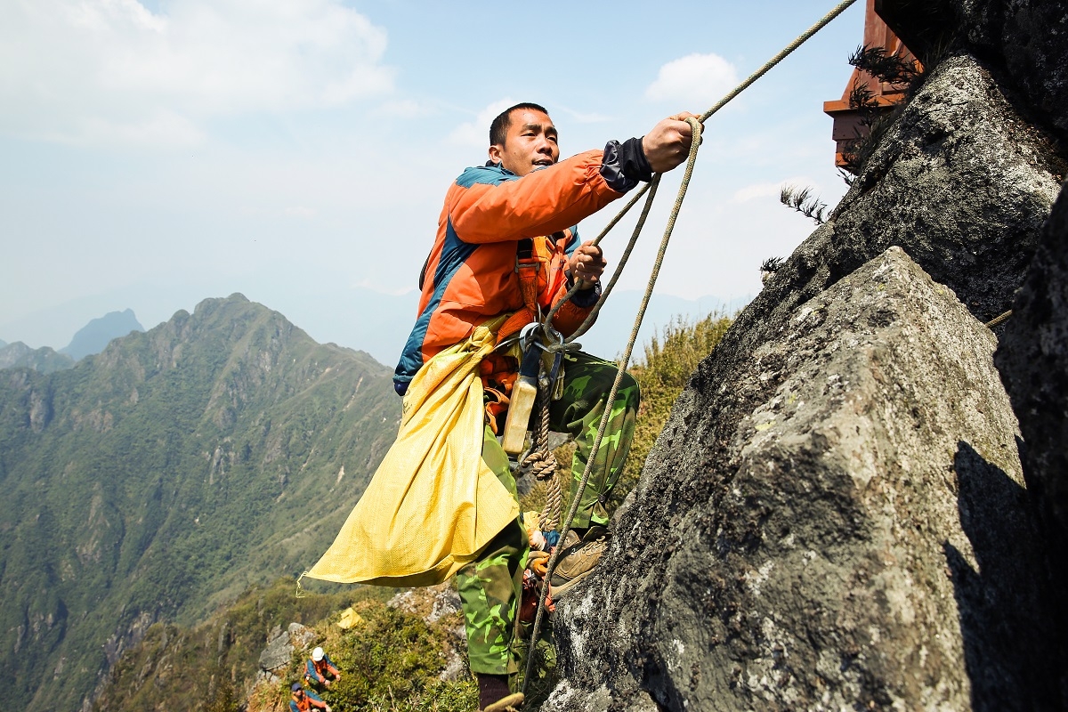 Sun World Fansipan Legend - Hành trình vun đắp cho những cánh rừng Hoàng Liên