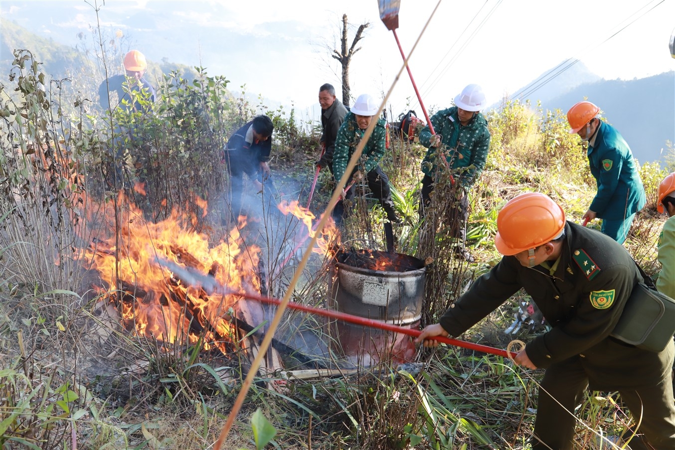 Sun World Fansipan Legend - Hành trình vun đắp cho những cánh rừng Hoàng Liên