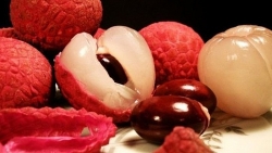 khong chi tien day la nhung muc phat dang so danh cho ma men say ruou o chau a