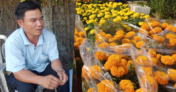 quen bat den xi nhan bi phat bao nhieu tien