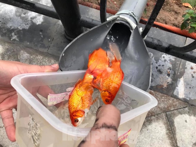 khong phai tui nilon nguoi dan dung cau truot xo chau dua ca chep ve troi