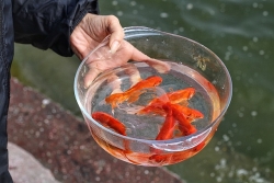 chuyen ve nhung nguoi tron tet