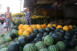tet them du vi voi nhung chiec banh chung banh tet day yeu thuong