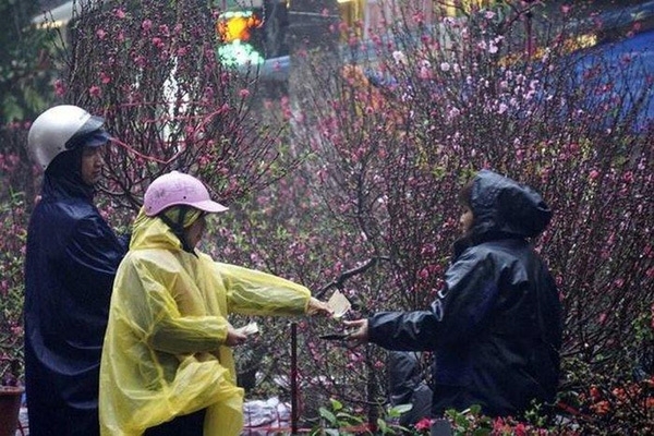 Thời tiết ngày 24/1 (30 Tết): Miền Bắc chuyển mưa rét thoi tiet ngay 241 30 tet mien bac chuyen mua ret