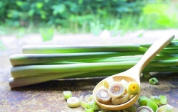 chuyen phat thanh vien tren tau 20 nam xa nha don tet