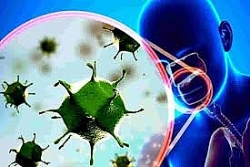 7 bệnh nhân nhiễm virus corona tại Vĩnh Phúc có kết quả xét nghiệm âm tính