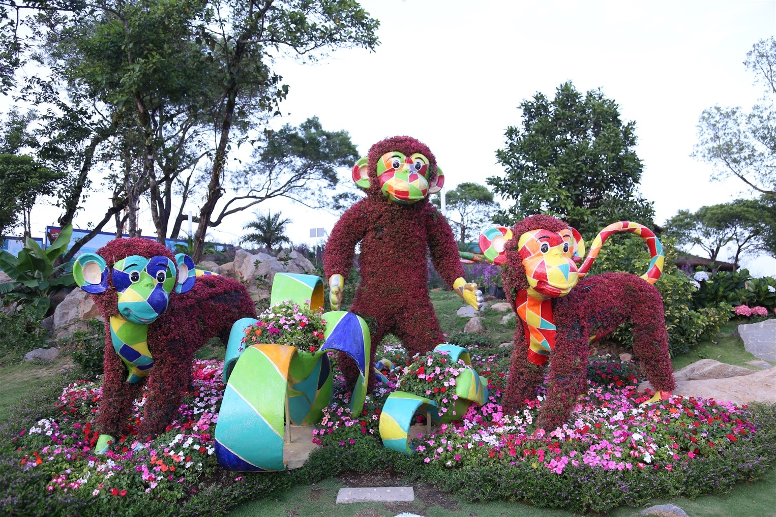 Vì sao Núi Bà Tây Ninh là Vì sao Núi Bà Tây Ninh là