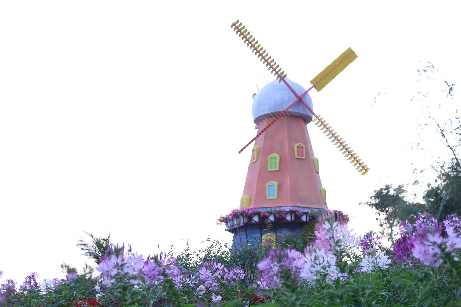 Vì sao Núi Bà Tây Ninh là Vì sao Núi Bà Tây Ninh là