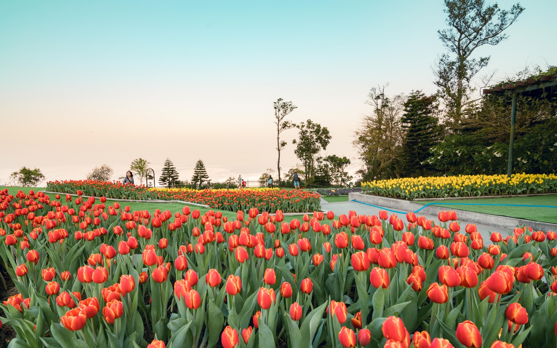 nhung bi quyet nam long de du lich an toan mua covid 19