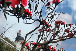 Cách ly xã hội, đừng quên mùa đỗ quyên đẹp rực rỡ ở Fansipan