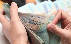 chi ban rau di ve dau