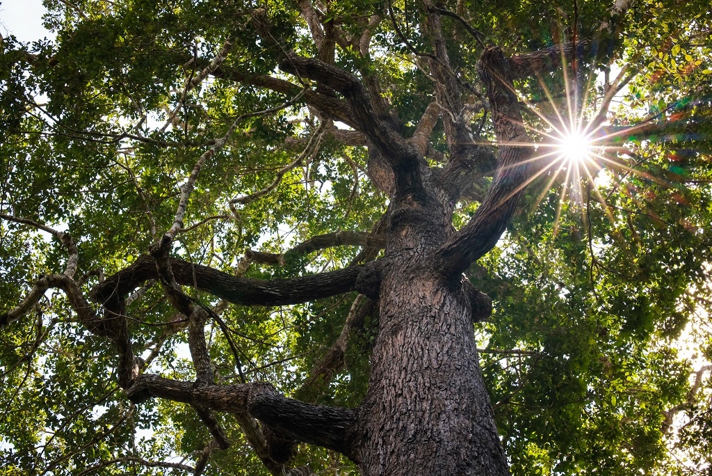 Từ Sài Gòn đi chơi đâu dịp lễ 30/4 lý tưởng nhất? Từ Sài Gòn đi chơi đâu dịp lễ 30/4 lý tưởng nhất?