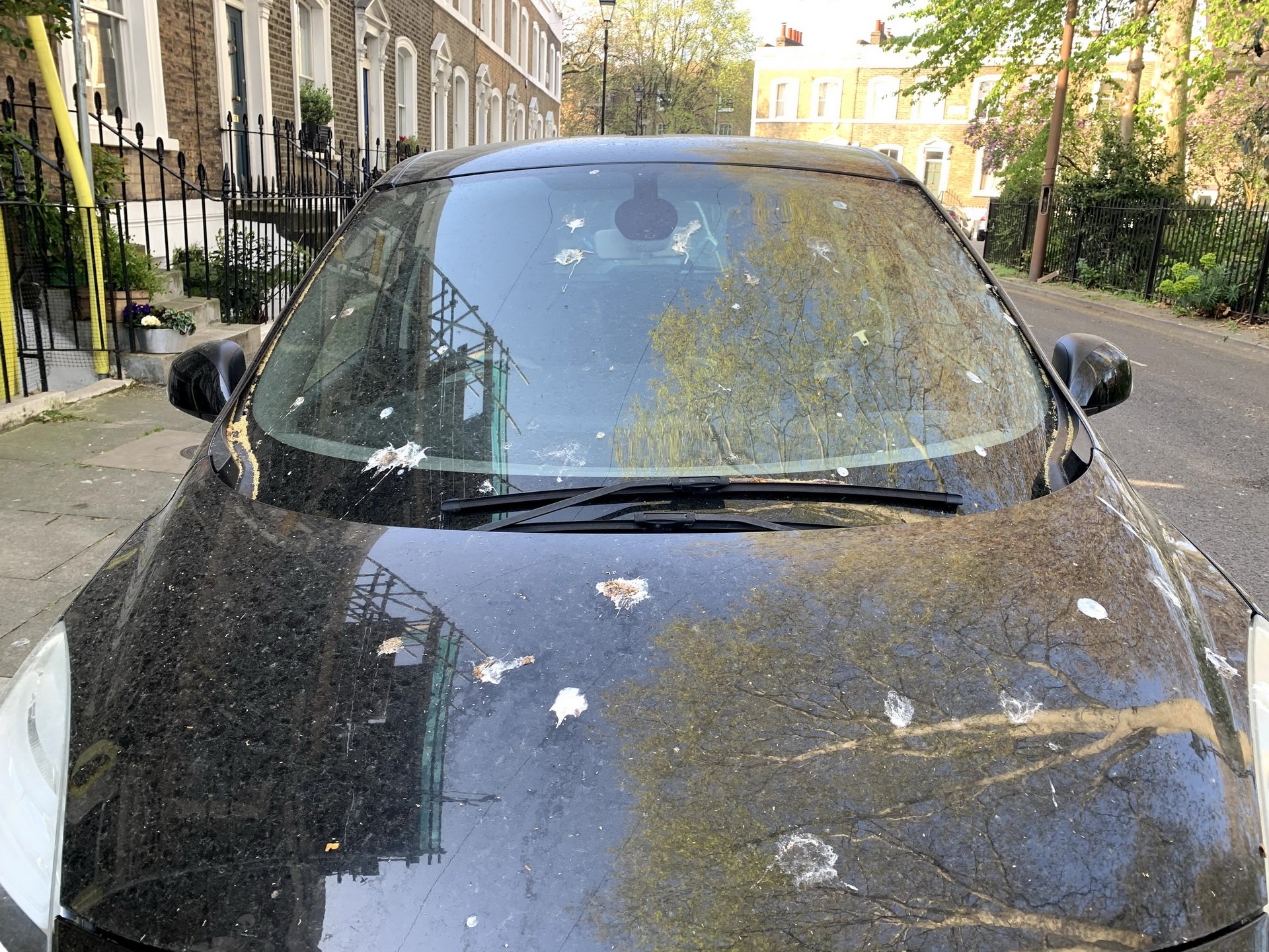 ford phat trien loai son o to chong phan chim