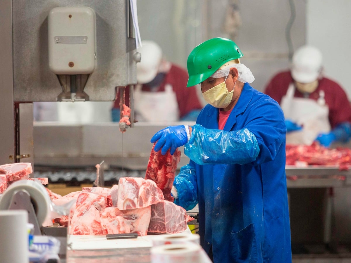 Chậm phục hồi việc làm có nguy cơ để lại “vết sẹo” Covid-19 lâu dài Chậm phục hồi việc làm có nguy cơ để lại “vết sẹo” Covid-19 lâu dài