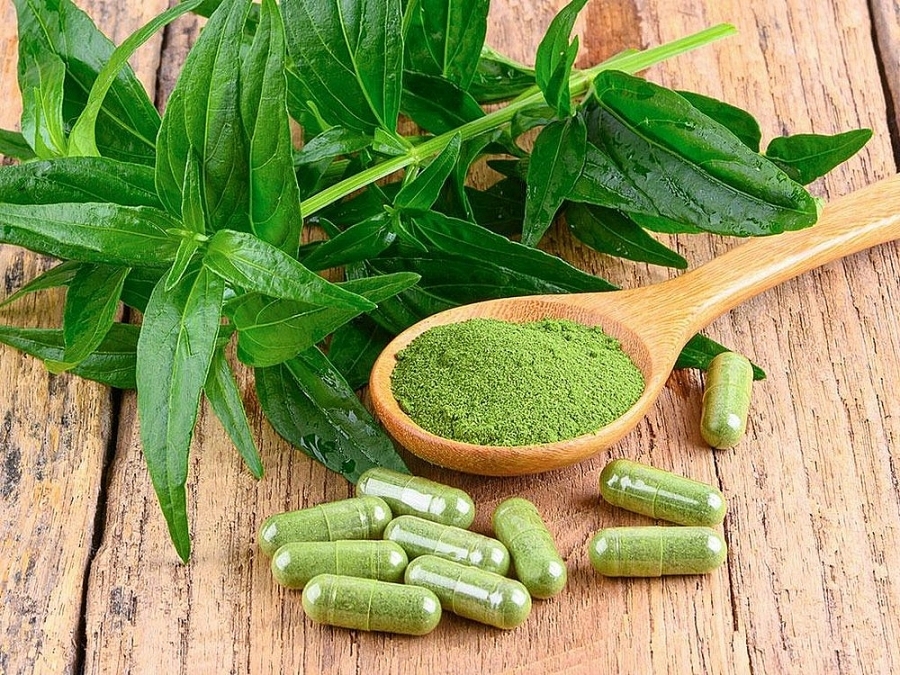 12 loại thuốc cổ truyền được dùng để hỗ trợ điều trị Covid-19 12 loại thuốc cổ truyền được dùng để hỗ trợ điều trị Covid-19