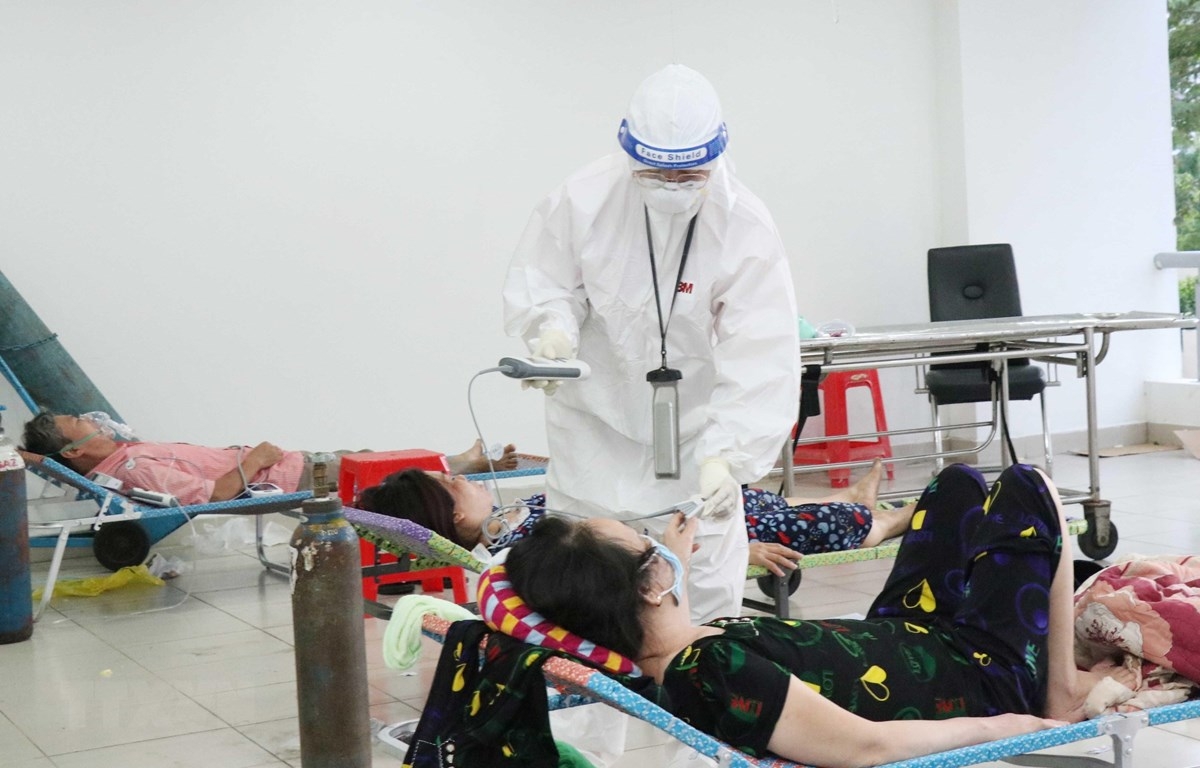 12 loại thuốc cổ truyền được dùng để hỗ trợ điều trị Covid-19 12 loại thuốc cổ truyền được dùng để hỗ trợ điều trị Covid-19