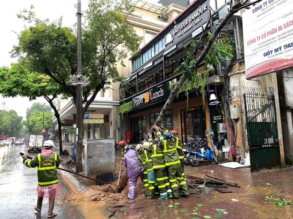 Ảnh hưởng của bão số 3: Nhiều cây lớn bị quật đổ trên đường phố Hà Nội anh huong cua bao so 3 nhieu cay lon bi quat do tren duong pho ha noi vi mua lon