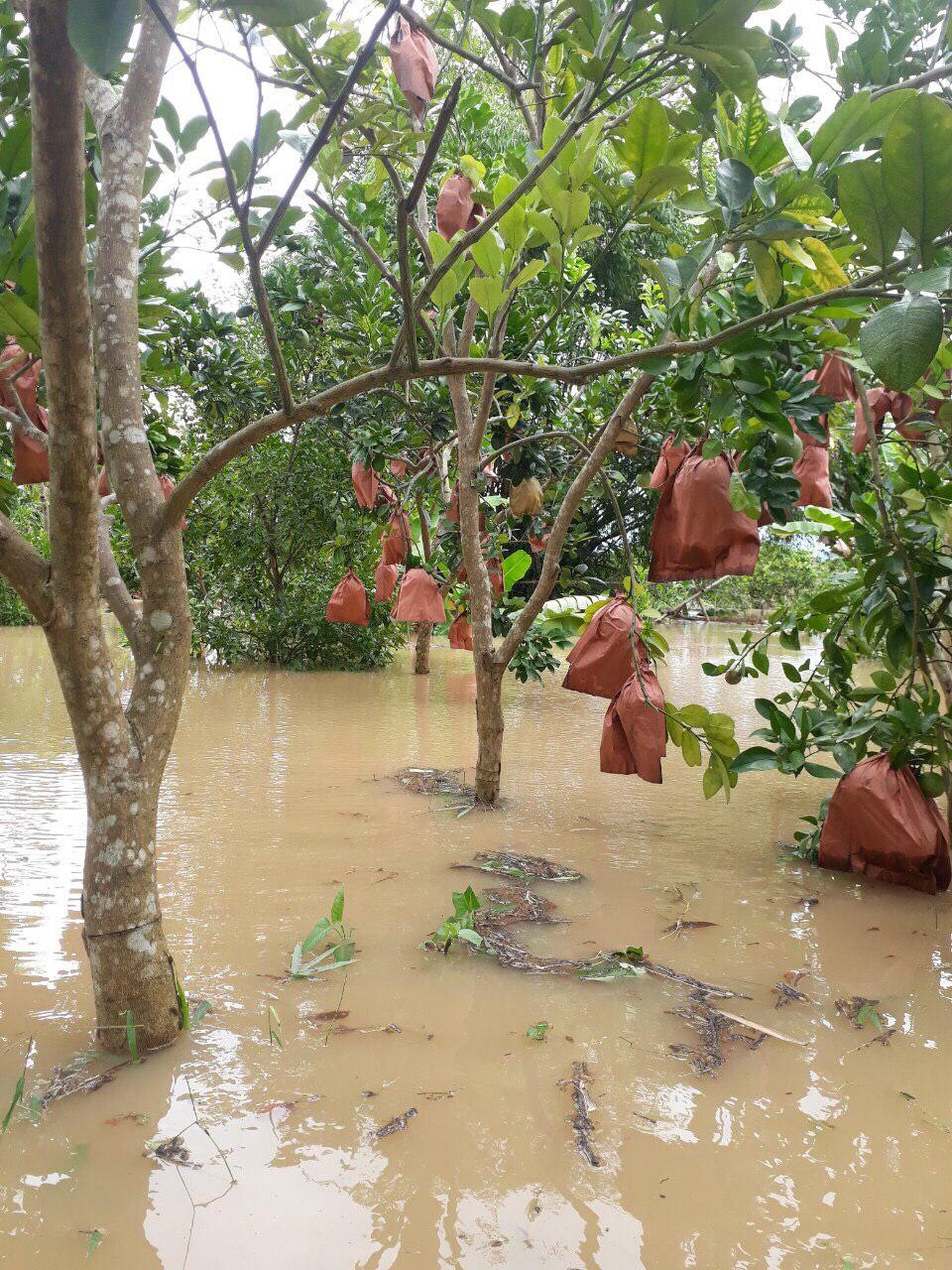 Cập nhật tình hình áp thấp nhiệt đới, nguy cơ ngập úng tại nhiều khu vực vì mưa lớn cap nhat tinh hinh ap thap nhiet doi nguy co ngap ung tai nhieu khu vuc vi mua lon