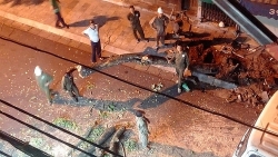 dai gia xay dung o ca mau vua bi bat la ai