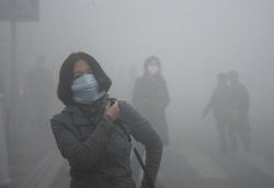 bung no rac thai o my vi sao mot so doanh nghiep dua nhau tai che