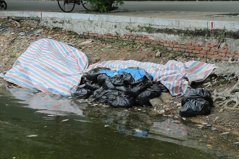 ca chet hang loat boc mui hoi tanh tai ho truc bach