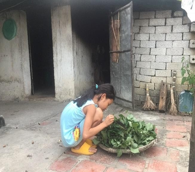 Mái ấm Hoa Việt – nơi trái tim mỉm cười Mái ấm Hoa Việt – nơi trái tim mỉm cười