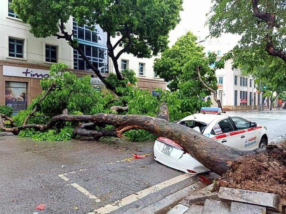 nhieu tuyen pho ngap ung cay lon bat goc sau tran mua dem 318 tai ha noi