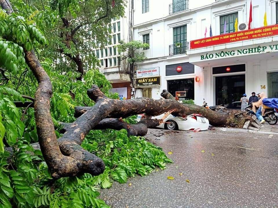nhieu tuyen pho ngap ung cay lon bat goc sau tran mua dem 318 tai ha noi