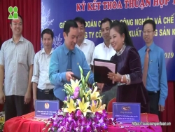 Đưa sản phẩm gạo sạch, an toàn tới công nhân và người lao động