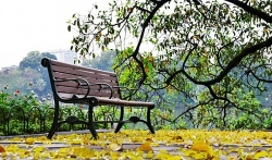 so huu vi tri dac dia dau la nguyen nhan du an nghi duong 600 ty bi bo hoang