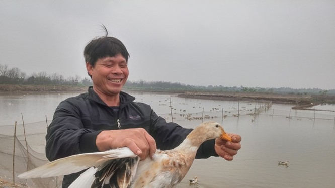 undefined 0113 ong vuon