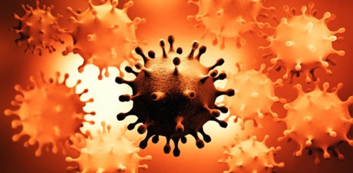 undefined 4116 covid2