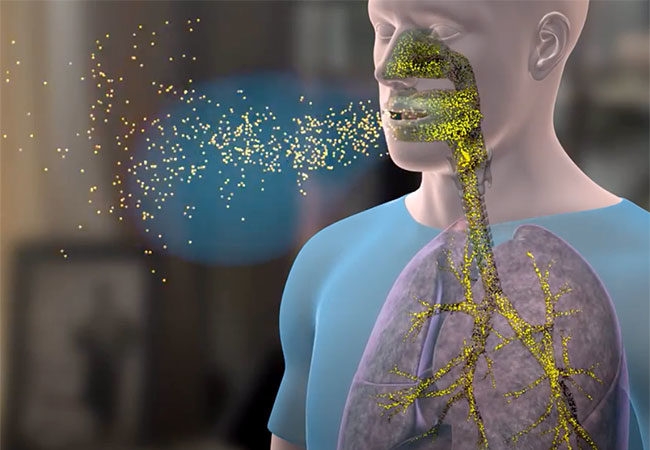 undefined 4421 covi4