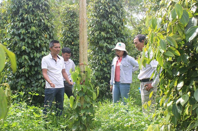 undefined 4307 nong dan