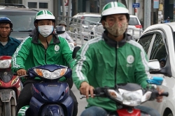 dan ca heo ca tram con xuat hien tren vung bien cua dai