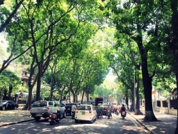 chung nhan dang ky nhan hieu tap the oi linh nham