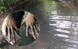 mai am tinh thuong den voi cong nhan lao dong kho khan