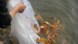 quang binh tang cuong cong tac giao duc an toan giao thong cho hoc sinh sinh vien