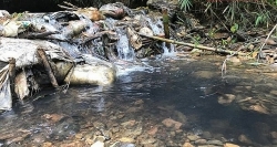 hoi nghi ban chuong trinh cham lo tet cho doan vien nguoi lao dong