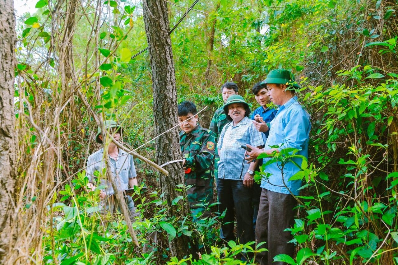 Đoàn Điều tra Quy hoạch Lâm nghiệp tỉnh Nghệ An 50 năm xây dựng và phát triển Đoàn Điều tra Quy hoạch Lâm nghiệp tỉnh Nghệ An 50 năm xây dựng và phát triển