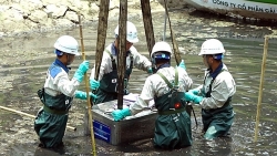 toa dam thuc trang doi song hon nhan gia dinh trong cong nhan lao dong