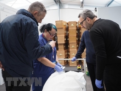 ha tinh thu giu gan 5 tan duong khong ro nguon goc