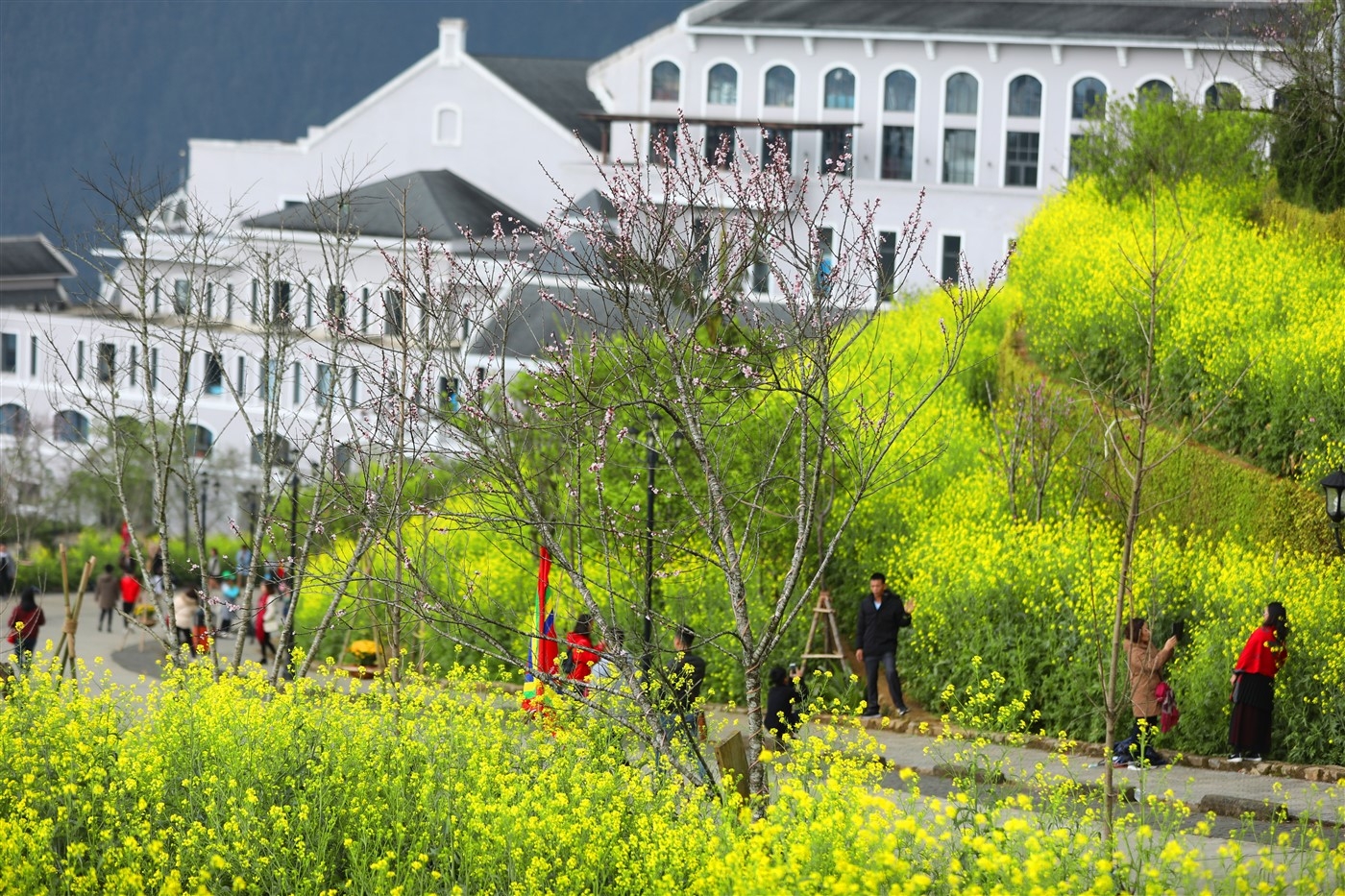 Sun World Fansipan Legend giữ vững ngôi vị Sun World Fansipan Legend giữ vững ngôi vị