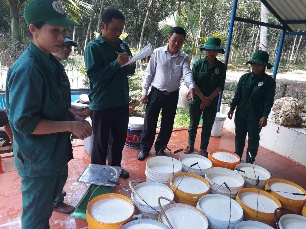 Khi nghị lực được nhân lên Khi nghị lực được nhân lên