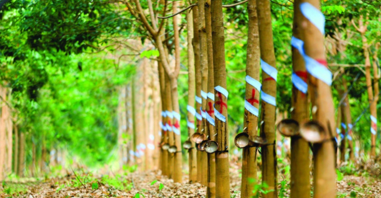 Khi nghị lực được nhân lên Khi nghị lực được nhân lên